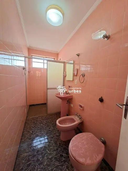 Apartamento com 2 quartos para alugar, 54m2 em Vila Santa Catarina, Americana - SP - imagem 5 Foto 5 de Apartamento com 2 quartos para alugar, 54m2 em Vila Santa Catarina, Americana - SP