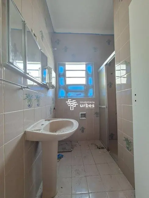Foto 7 de Casa para alugar, 284m2 em Vila Pavan, Americana - SP