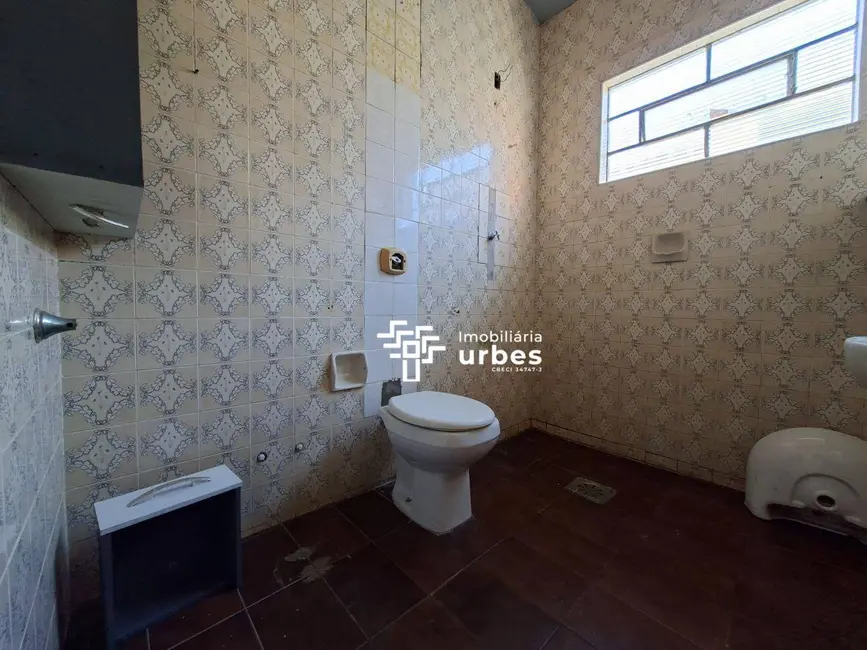 Casa com 3 quartos para alugar, 250m2 em São Benedito, Americana - SP - imagem 9 Foto 9 de Casa com 3 quartos para alugar, 250m2 em São Benedito, Americana - SP
