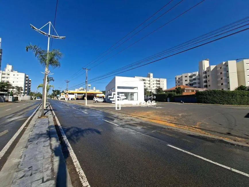 Sala Comercial para alugar, 300m2 em Vila Pavan, Americana - SP - imagem 3 Foto 3 de Sala Comercial para alugar, 300m2 em Vila Pavan, Americana - SP