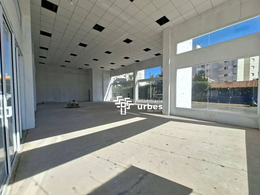 Sala Comercial para alugar, 300m2 em Vila Pavan, Americana - SP - imagem 9 Foto 9 de Sala Comercial para alugar, 300m2 em Vila Pavan, Americana - SP