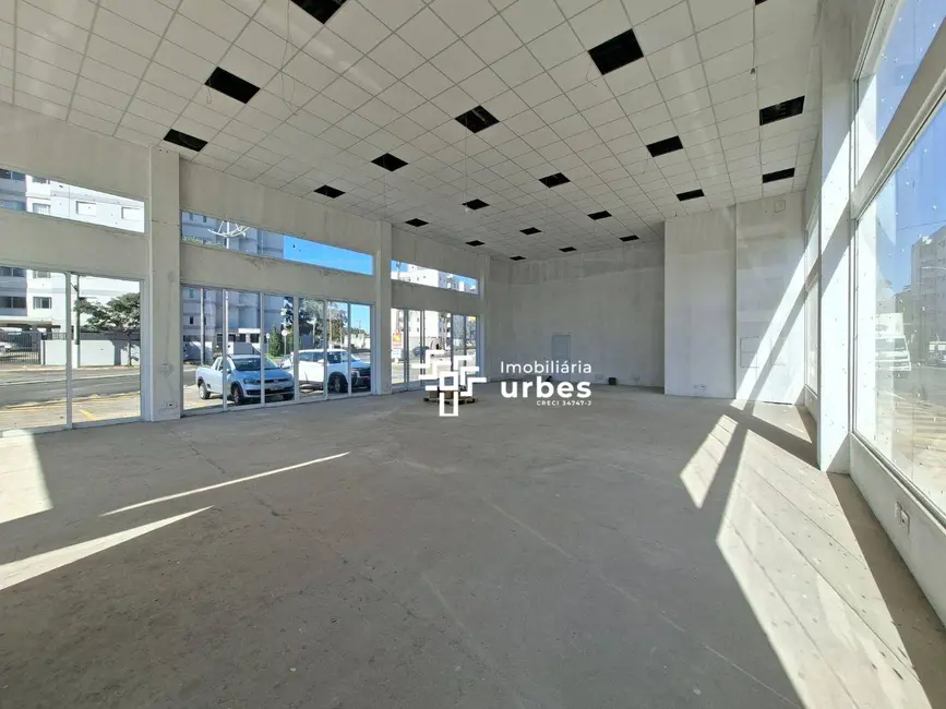 Sala Comercial para alugar, 300m2 em Vila Pavan, Americana - SP - imagem 7 Foto 7 de Sala Comercial para alugar, 300m2 em Vila Pavan, Americana - SP