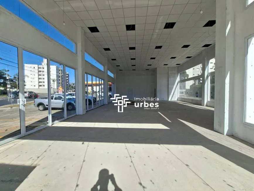 Sala Comercial para alugar, 300m2 em Vila Pavan, Americana - SP - imagem 8 Foto 8 de Sala Comercial para alugar, 300m2 em Vila Pavan, Americana - SP