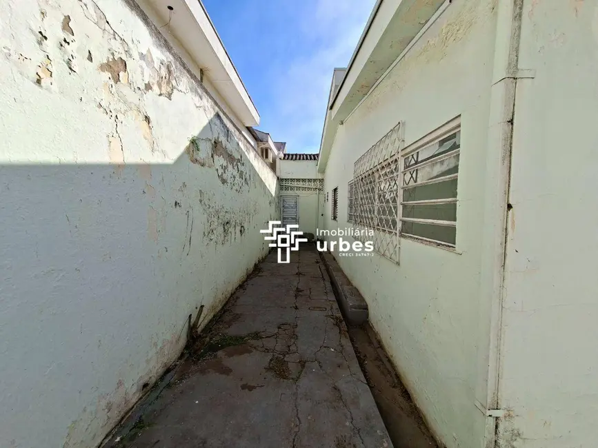 Foto 13 de Casa para alugar, 319m2 em Jardim São Domingos, Americana - SP