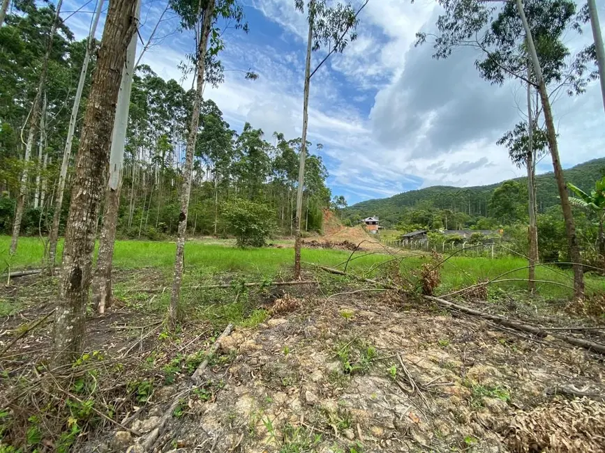 Foto 9 de Sítio / Rancho com 2 quartos à venda, 29700m2 em Penha - SC