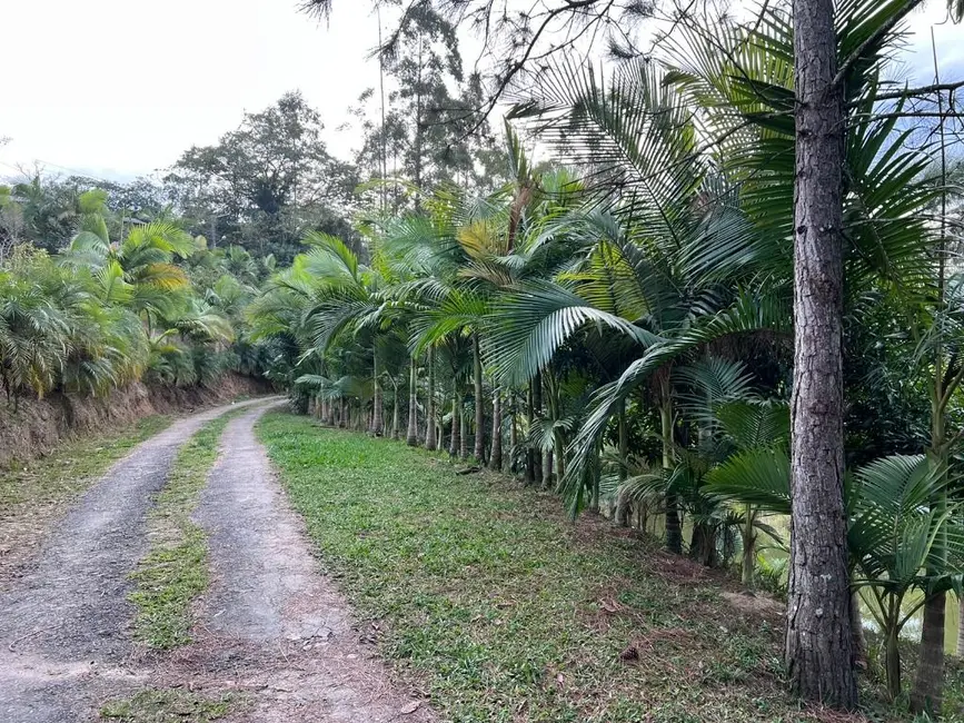 Foto 9 de Sítio / Rancho com 5 quartos à venda, 18500m2 em Escalvados, Navegantes - SC