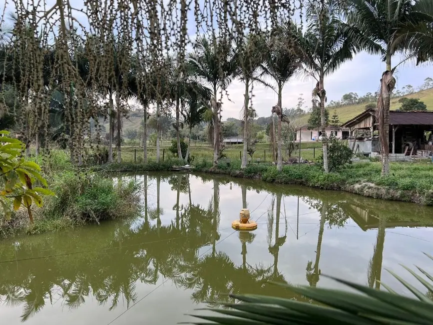 Foto 7 de Sítio / Rancho com 5 quartos à venda, 18500m2 em Escalvados, Navegantes - SC