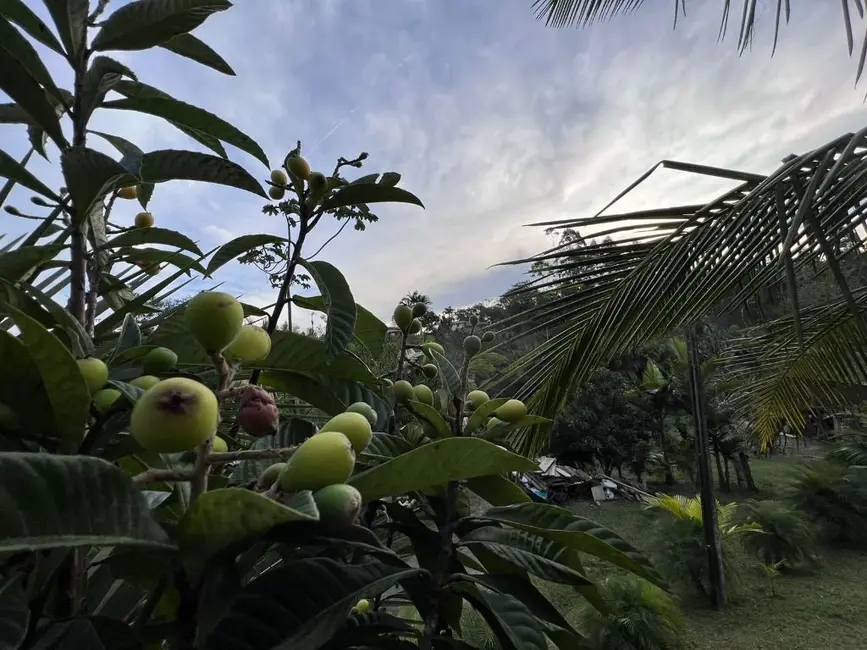 Foto 3 de Sítio / Rancho com 5 quartos à venda, 18500m2 em Escalvados, Navegantes - SC