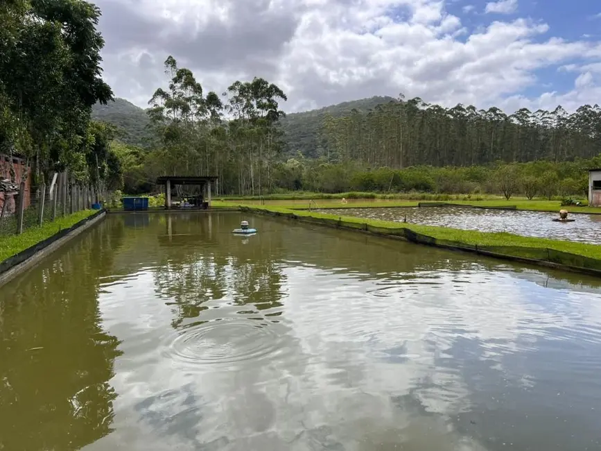 Foto 9 de Chácara com 3 quartos à venda, 15000m2 em Escalvados, Navegantes - SC