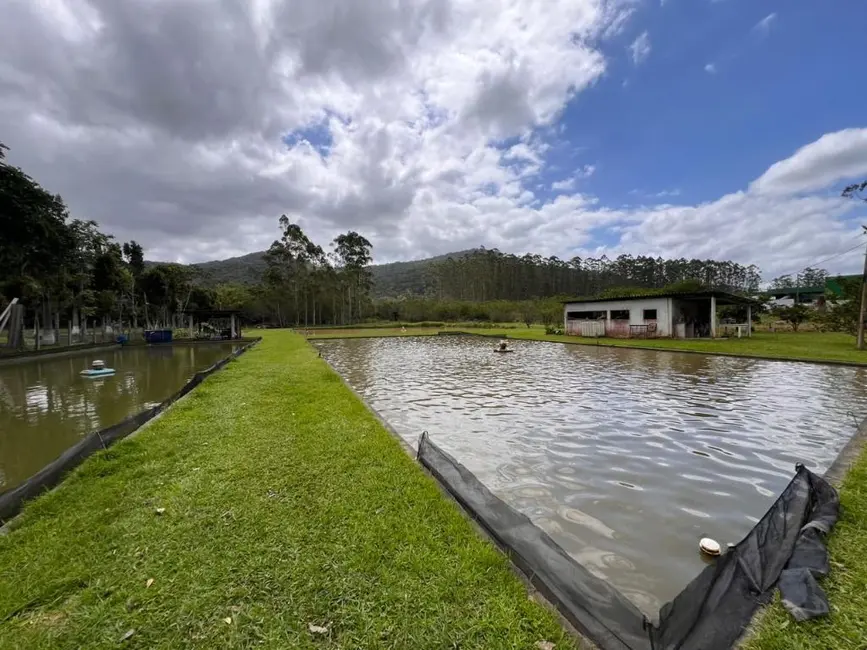 Foto 7 de Chácara com 3 quartos à venda, 15000m2 em Escalvados, Navegantes - SC
