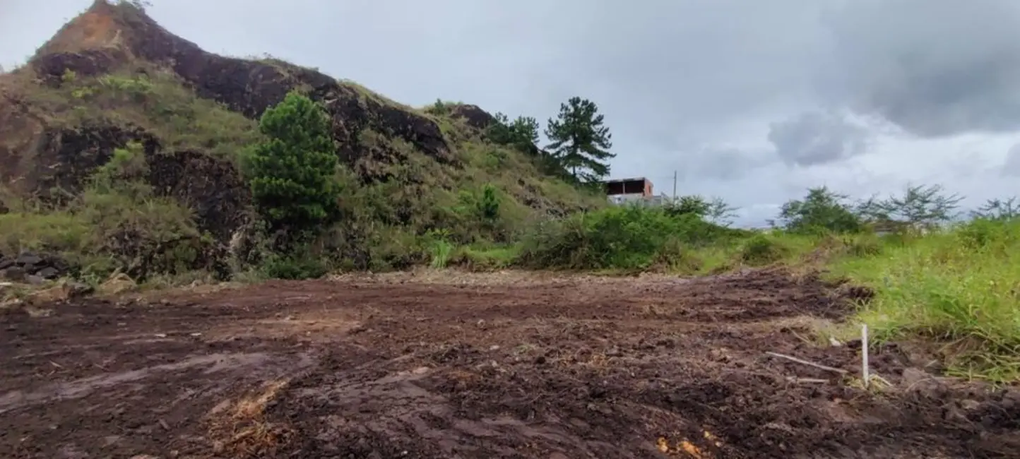 Foto 3 de Terreno / Lote à venda, 326m2 em Balneario Picarras - SC