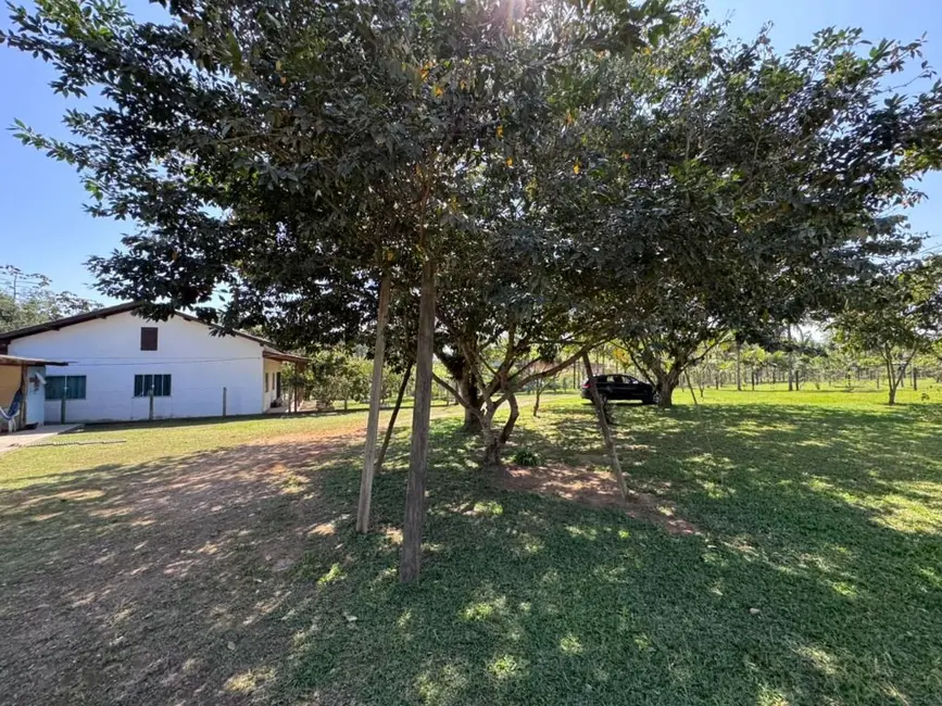 Foto 2 de Sítio / Rancho com 2 quartos à venda, 9500m2 em Centro, Balneario Picarras - SC