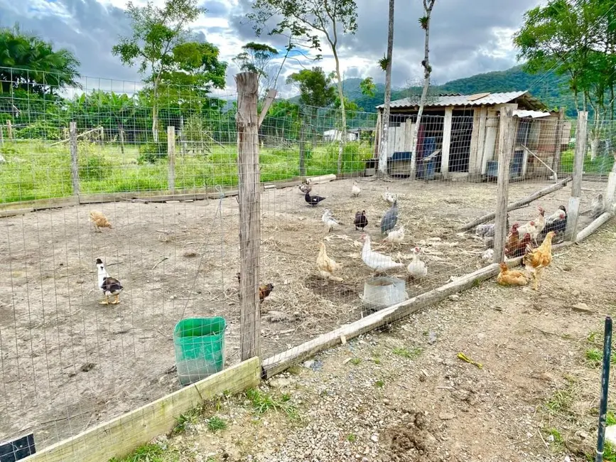 Foto 12 de Chácara à venda, 2521m2 em Escalvados, Navegantes - SC