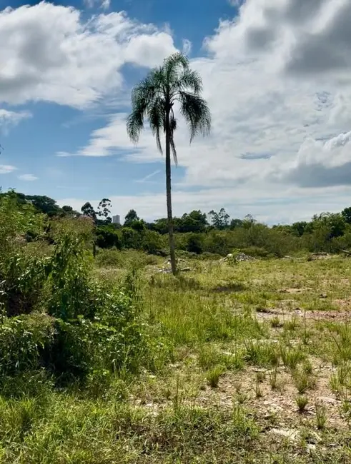Foto 1 de Terreno / Lote à venda, 594m2 em Penha - SC
