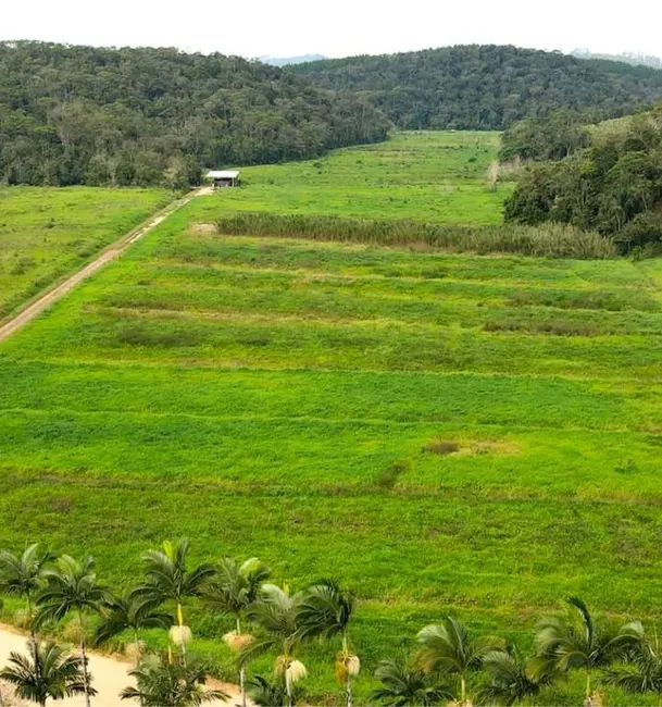 Foto 1 de Sala Comercial à venda, 94000m2 em Luiz Alves - SC