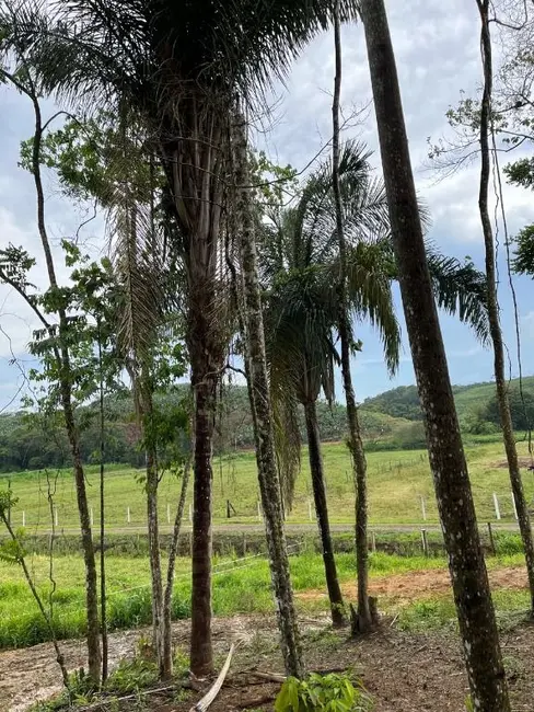 Foto 5 de Sala Comercial à venda, 55000m2 em Luiz Alves - SC