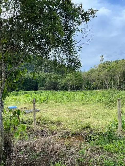 Foto 6 de Sala Comercial à venda, 55000m2 em Luiz Alves - SC