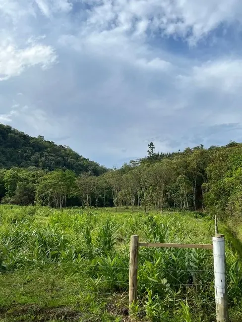 Foto 4 de Sala Comercial à venda, 55000m2 em Luiz Alves - SC