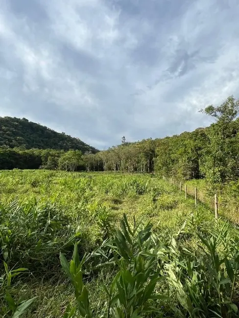 Foto 7 de Sala Comercial à venda, 55000m2 em Luiz Alves - SC