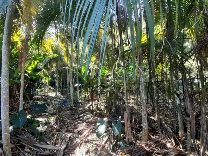 Foto 9 de Chácara com 5 quartos à venda, 45127m2 em Penha - SC