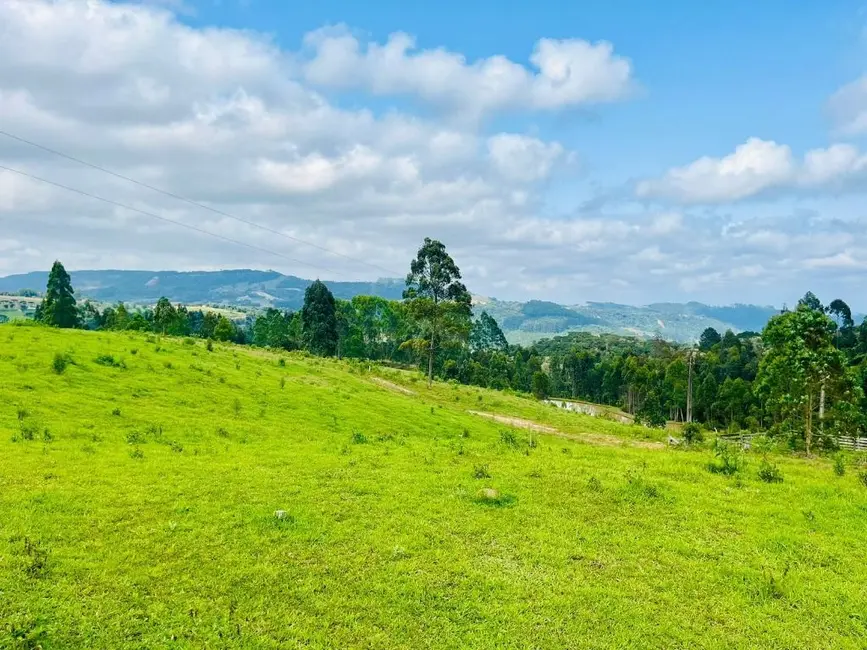Sítio / Rancho à venda, 27000m2 em Rio Do Sul - SC - imagem 1 Foto 1 de Sítio / Rancho à venda, 27000m2 em Rio Do Sul - SC