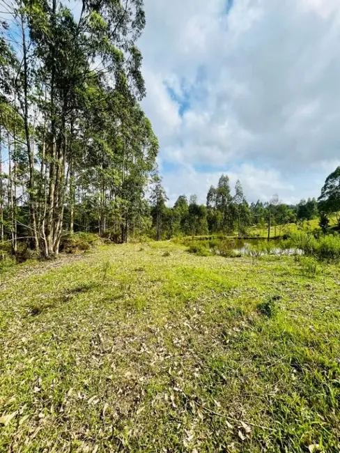 Sítio / Rancho à venda, 27000m2 em Rio Do Sul - SC - imagem 9 Foto 9 de Sítio / Rancho à venda, 27000m2 em Rio Do Sul - SC