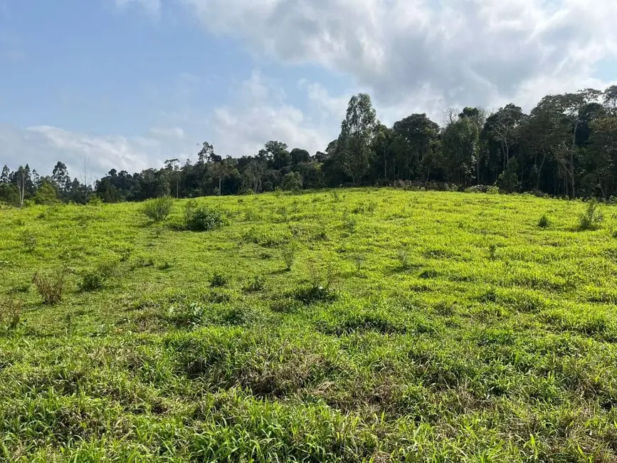Sítio / Rancho à venda, 27000m2 em Rio Do Sul - SC - imagem 5 Foto 5 de Sítio / Rancho à venda, 27000m2 em Rio Do Sul - SC