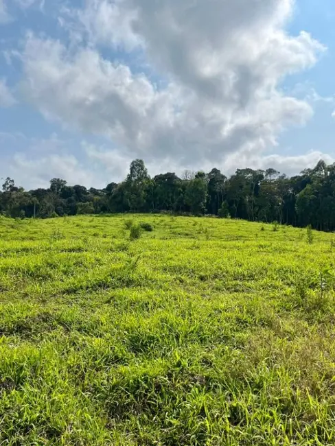 Sítio / Rancho à venda, 27000m2 em Rio Do Sul - SC - imagem 3 Foto 3 de Sítio / Rancho à venda, 27000m2 em Rio Do Sul - SC