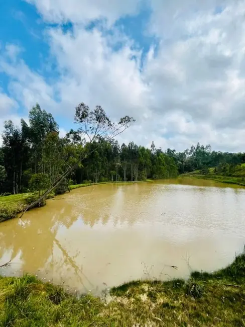 Sítio / Rancho à venda, 27000m2 em Rio Do Sul - SC - imagem 7 Foto 7 de Sítio / Rancho à venda, 27000m2 em Rio Do Sul - SC