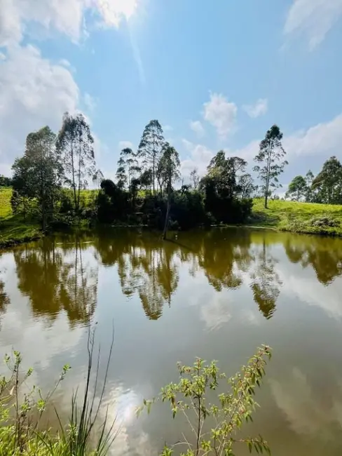 Sítio / Rancho à venda, 27000m2 em Rio Do Sul - SC - imagem 6 Foto 6 de Sítio / Rancho à venda, 27000m2 em Rio Do Sul - SC