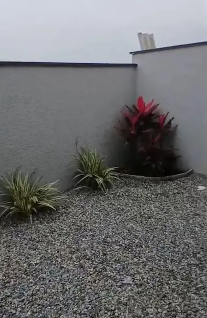 Foto 9 de Casa com 3 quartos à venda, 150m2 em Barra Velha - SC