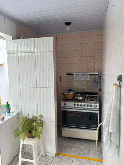 Chácara com 3 quartos à venda, 3948m2 em Penha - SC - imagem 9 Foto 9 de Chácara com 3 quartos à venda, 3948m2 em Penha - SC