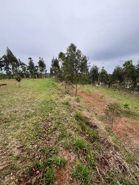 Foto 10 de Chácara à venda, 4709m2 em Escalvados, Navegantes - SC