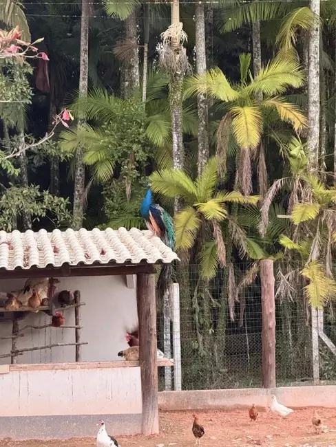 Foto 8 de Sítio / Rancho à venda, 4000m2 em Barra Velha - SC