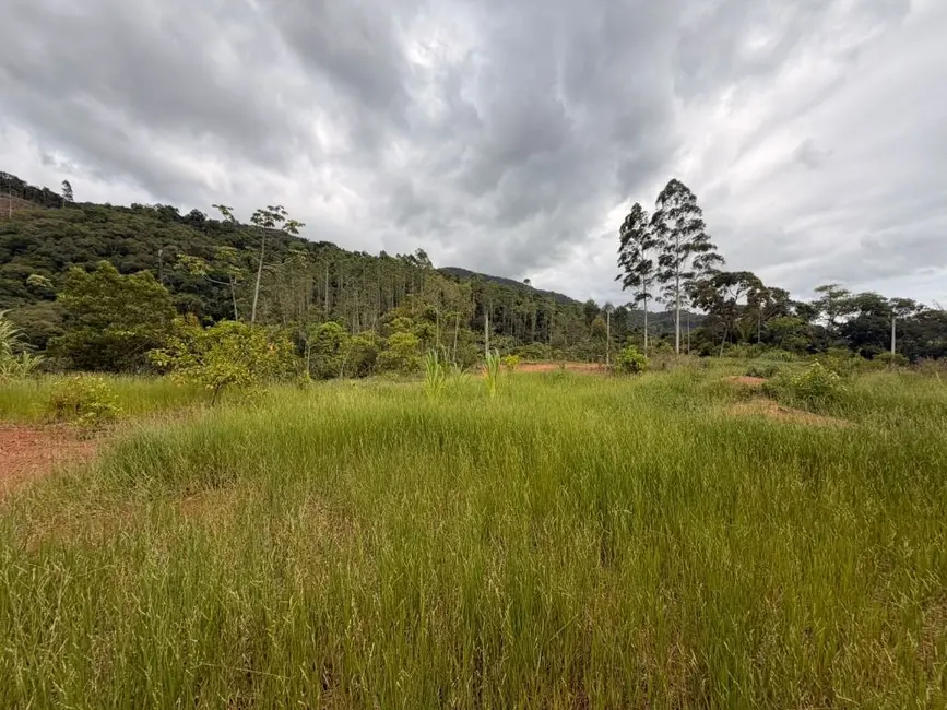 Foto 5 de Chácara à venda, 3000m2 em Luiz Alves - SC