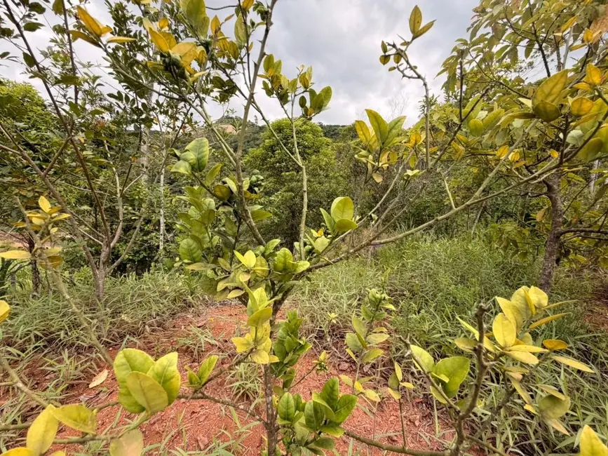 Foto 7 de Chácara à venda, 3000m2 em Luiz Alves - SC