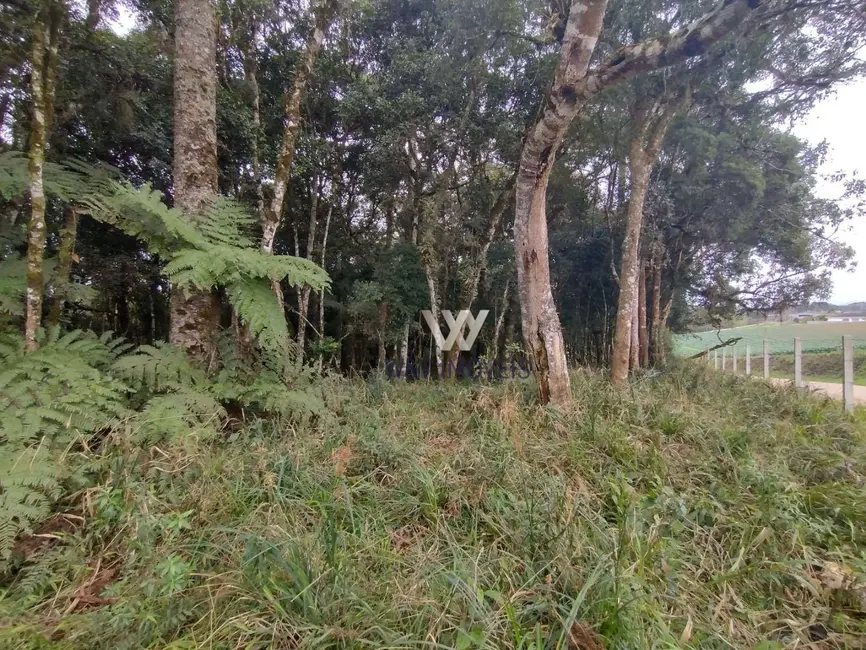 Foto 1 de Chácara com 1 quarto à venda, 8167m2 em Colônia Murici, Sao Jose Dos Pinhais - PR