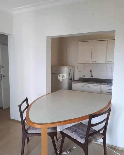 Apartamento com 1 quarto para alugar, 49m2 em Cambuí, Campinas - SP - imagem 9 Foto 9 de Apartamento com 1 quarto para alugar, 49m2 em Cambuí, Campinas - SP