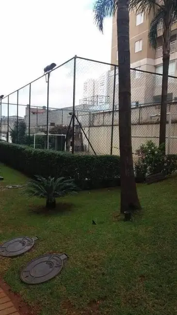 Apartamento com 2 quartos à venda, 50m2 em Vila Carrão, São Paulo - SP - imagem 6 Foto 6 de Apartamento com 2 quartos à venda, 50m2 em Vila Carrão, São Paulo - SP