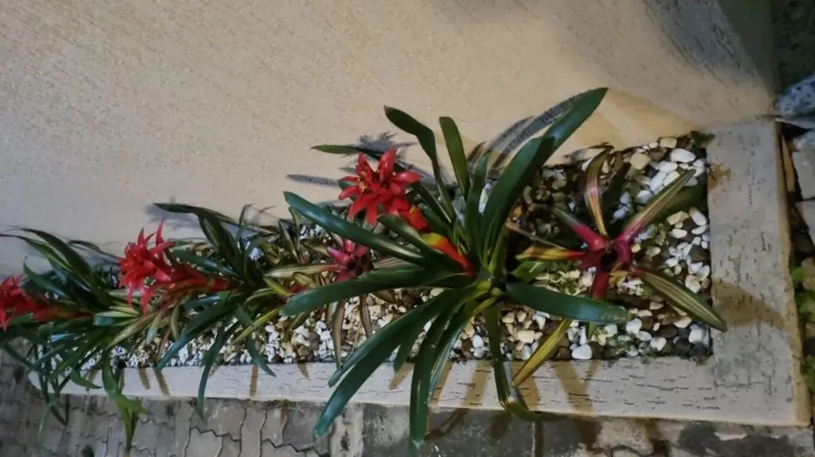 Foto 6 de Sobrado com 3 quartos à venda, 204m2 em Jardim Rebelato, Cotia - SP