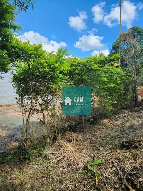 Foto 4 de Terreno / Lote à venda, 742m2 em Chácara Eliana, Cotia - SP