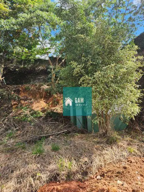 Foto 6 de Terreno / Lote à venda, 742m2 em Chácara Eliana, Cotia - SP