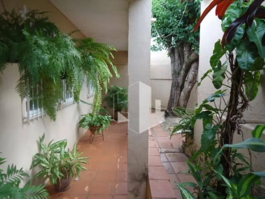 Foto 6 de Casa com 4 quartos à venda, 1100m2 em Vila Nova, Jau - SP