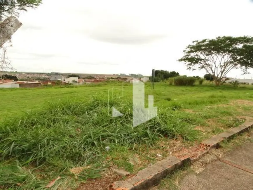 Foto 3 de Terreno / Lote à venda, 4208m2 em Jardim Ferreira Dias, Jau - SP