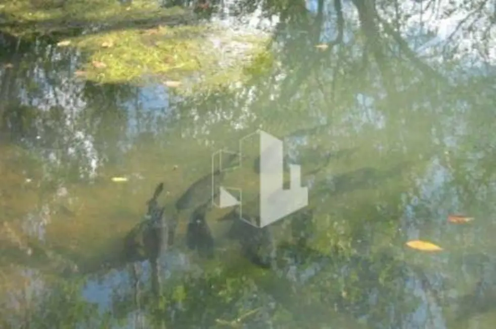 Foto 8 de Sítio / Rancho à venda, 193600m2 em Centro, Jau - SP