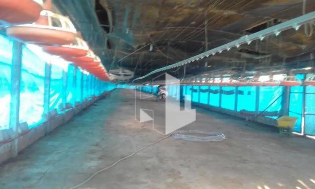 Foto 4 de Sítio / Rancho à venda, 48400m2 em Brotas - SP