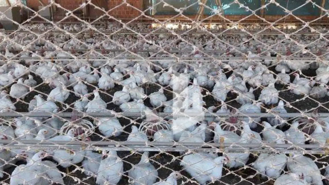 Foto 6 de Sítio / Rancho à venda, 48400m2 em Brotas - SP