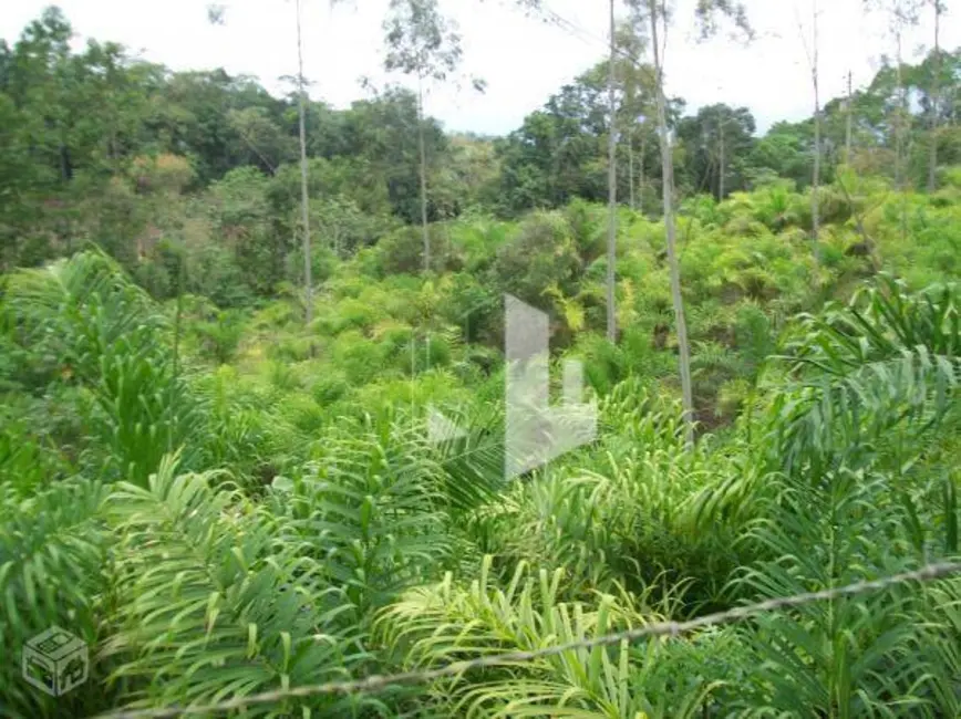 Foto 3 de Sítio / Rancho à venda, 300000m2 em Jacupiranga - SP