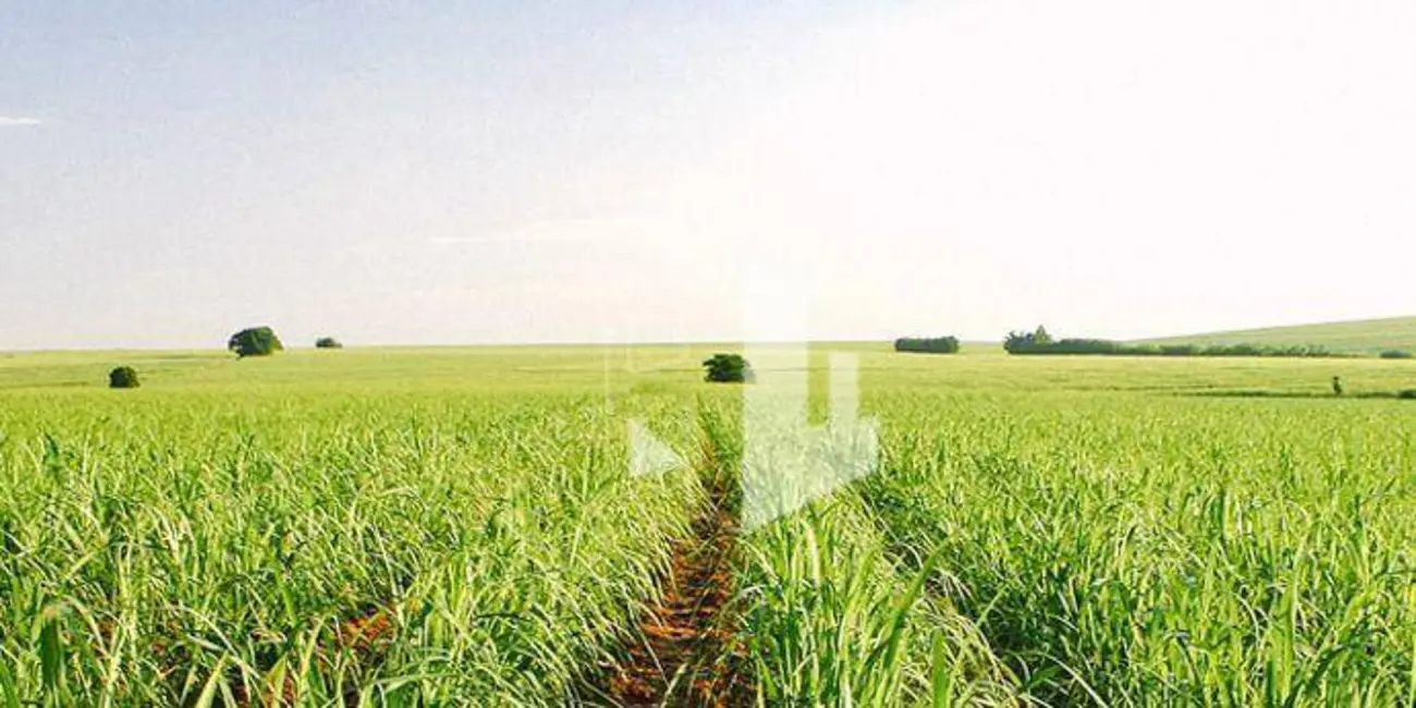 Foto 2 de Fazenda / Haras à venda, 5808000m2 em Ribeirao Bonito - SP