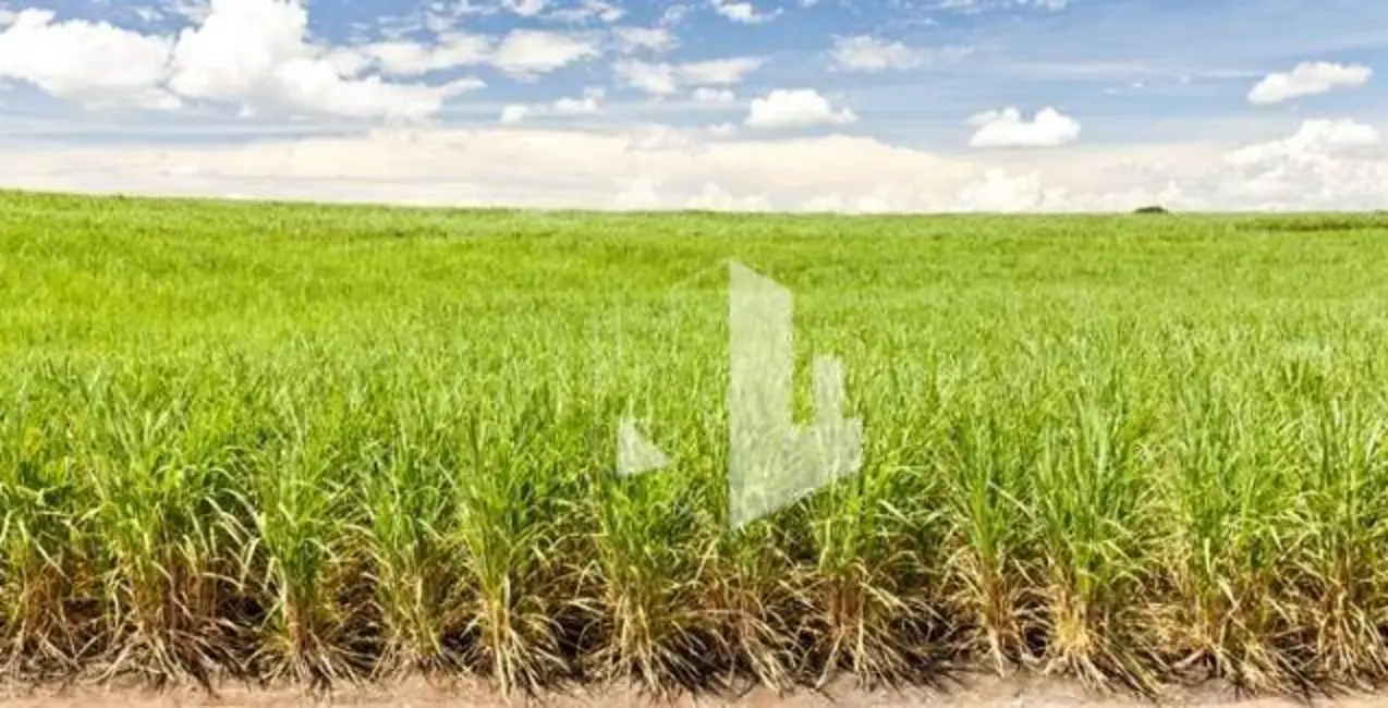 Foto 1 de Fazenda / Haras à venda, 5808000m2 em Ribeirao Bonito - SP